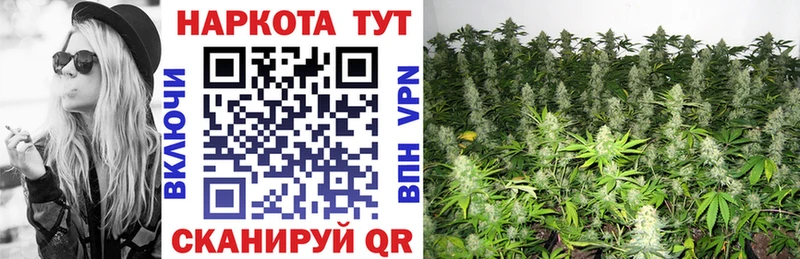 Где продают наркотики Пролетарск A PVP  МЕФ  Галлюциногенные грибы  Кокаин  ГАШ 