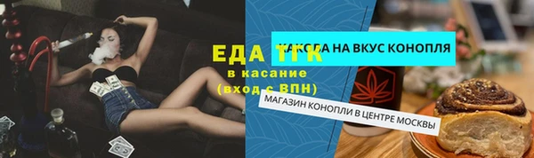 гашик Михайловск