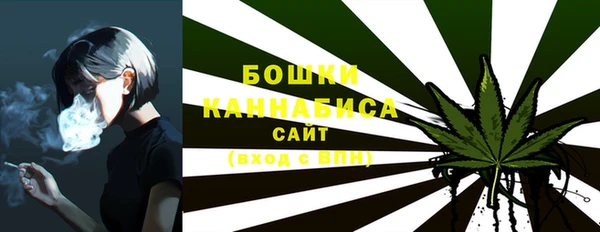 гашик Михайловск