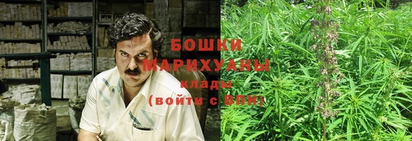 гашик Михайловск