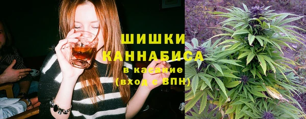 гашик Михайловск