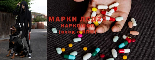 гашик Михайловск