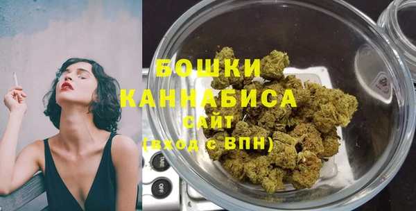 apvp Гусев