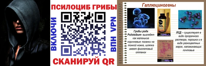 как найти закладки  Пролетарск  Псилоцибиновые грибы Magic Shrooms 